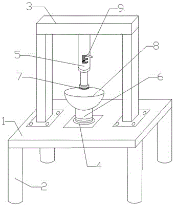 Anatomy device for soft-shelled turtle