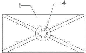 Anatomy device for soft-shelled turtle