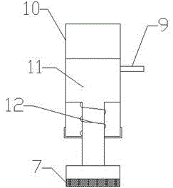 Anatomy device for soft-shelled turtle