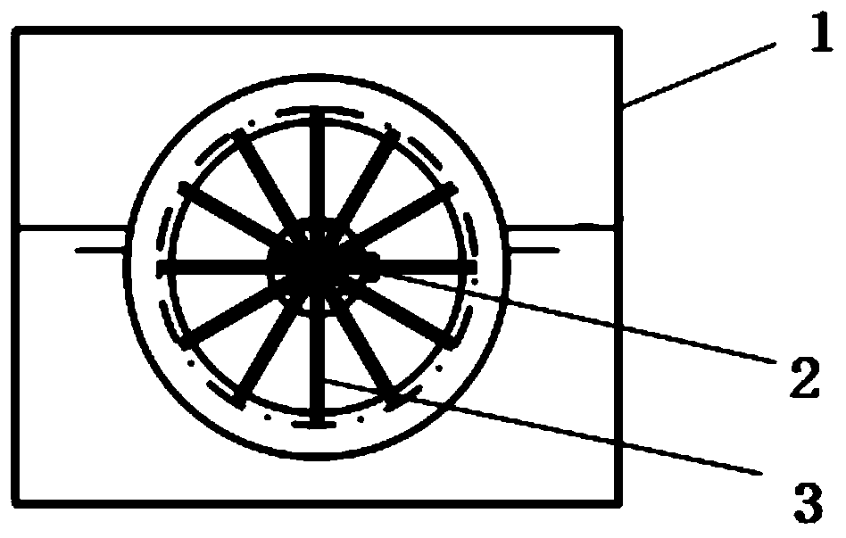 Biological rotating disc