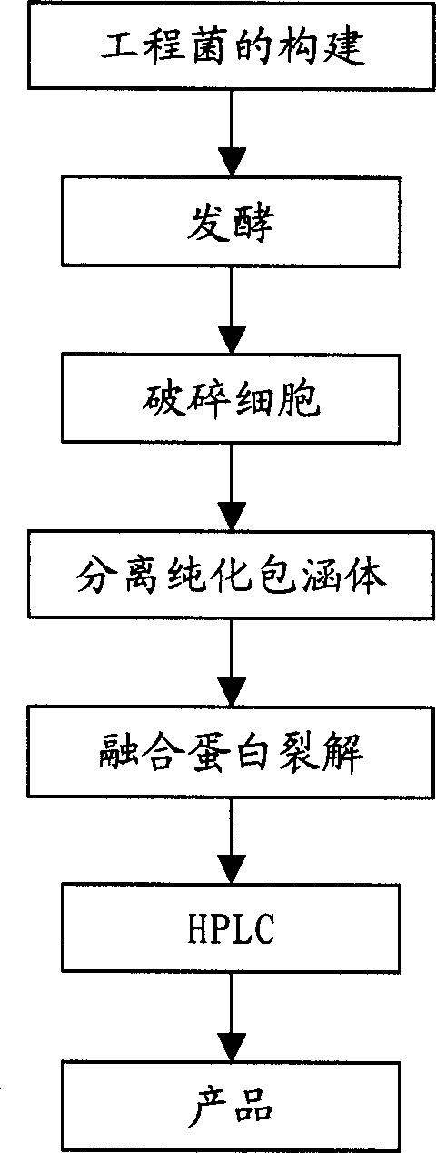 Analog of Exendin 4