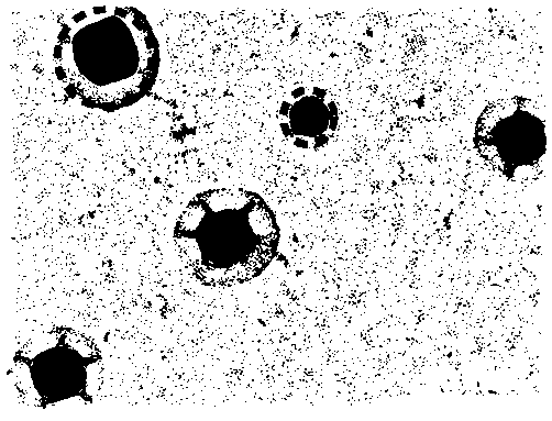 Preparation method of core-shell nanoparticles based on lipid membrane and metal organic framework