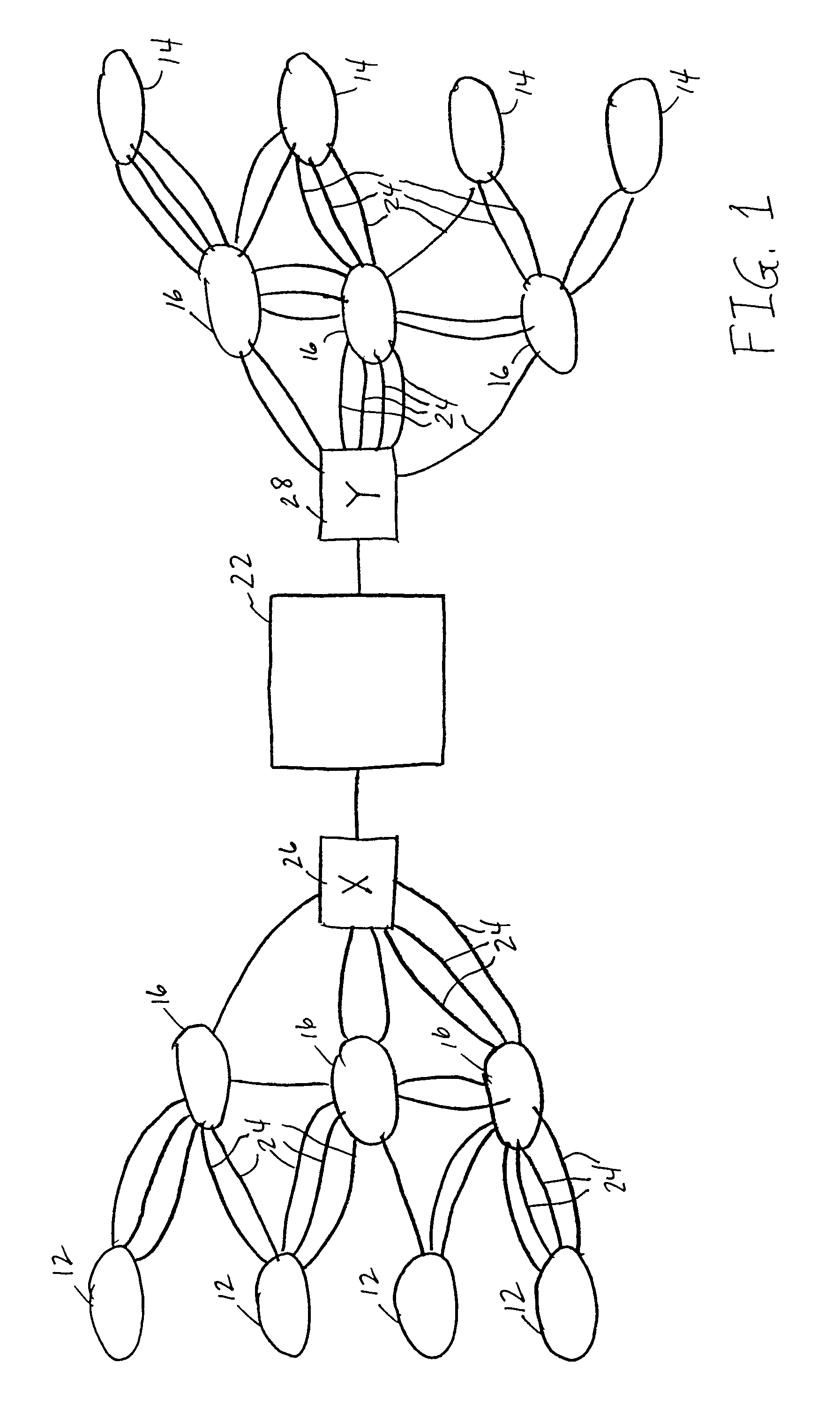 Apparatus and method for forwarding data on multiple label-switched data paths