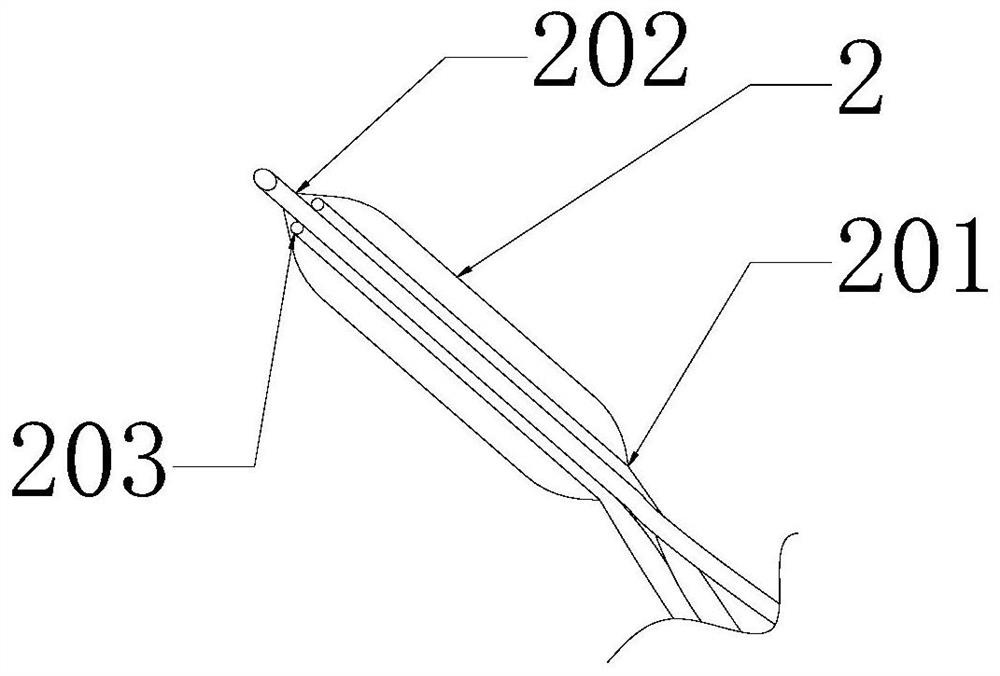 Device for nasal cavity cleaning and nasal cavity disease local treatment