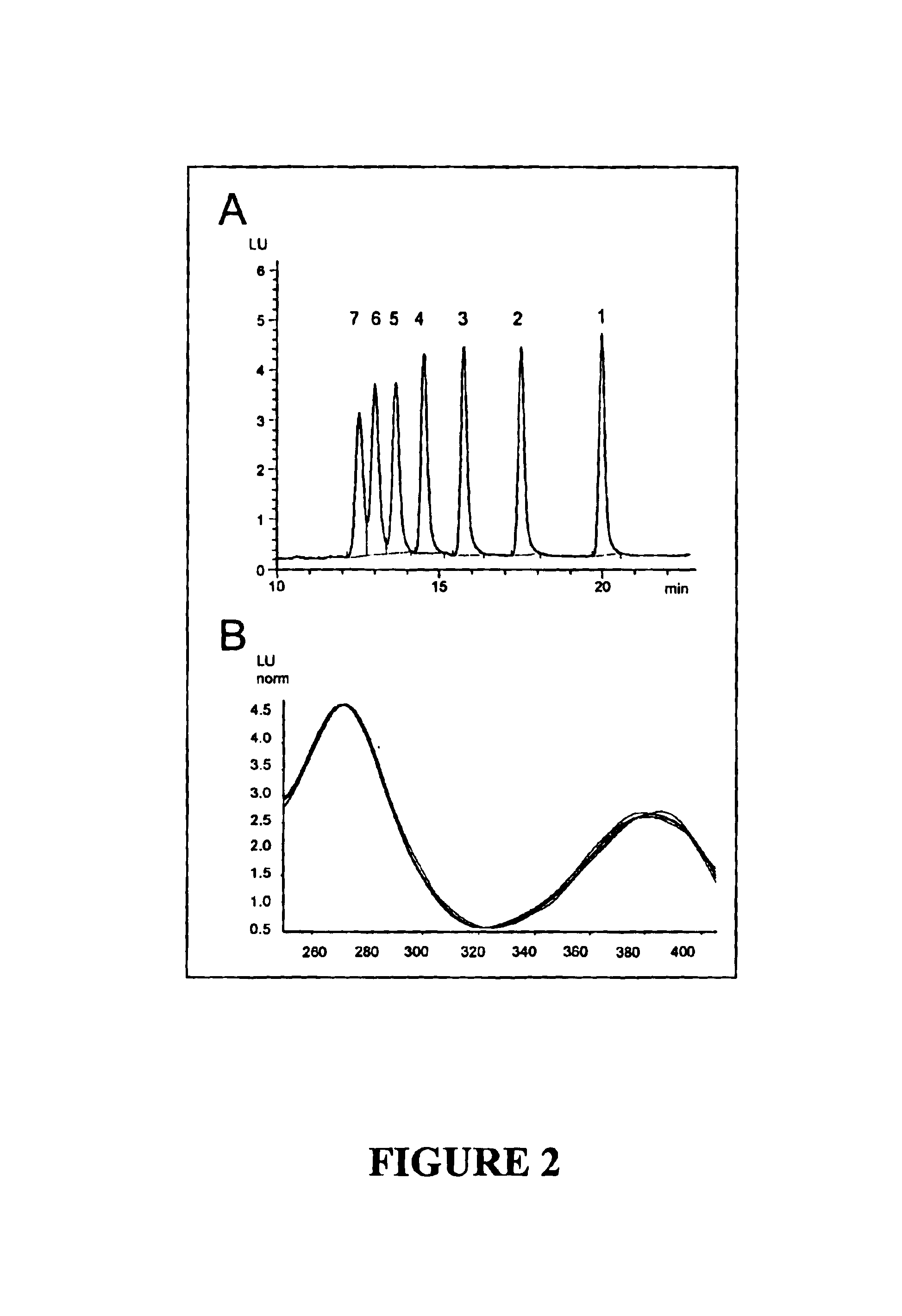 Methods for direct detection of individual methotrexate metabolites