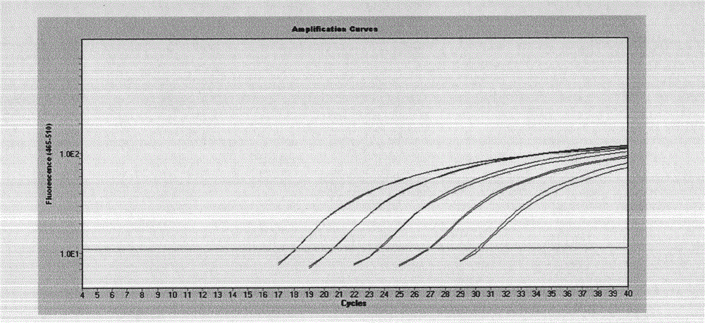 Method for quantitatively determining blood circulation DNA (Deoxyribonucleic Acid)