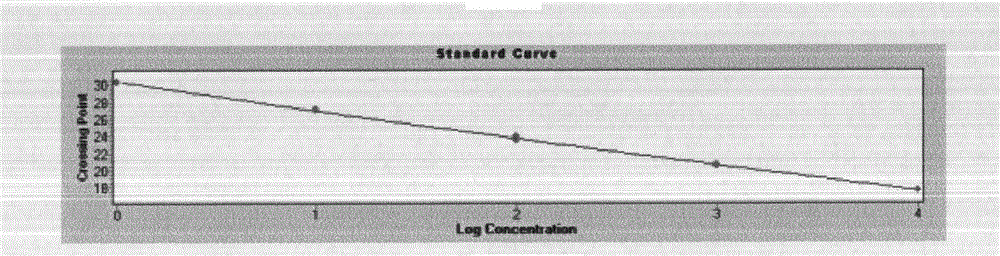 Method for quantitatively determining blood circulation DNA (Deoxyribonucleic Acid)