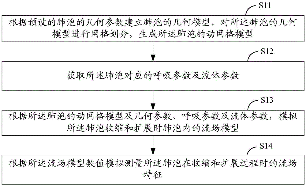 Flow field numerical simulation measurement method and system for alveolar contraction and expansion process