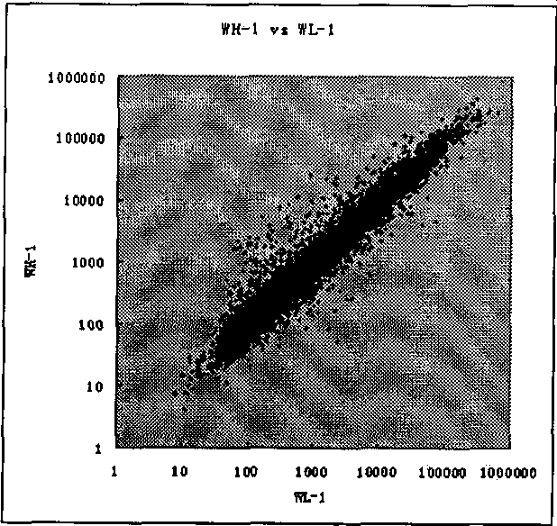 High-throughput method for segregating quantitative character regulatory gene