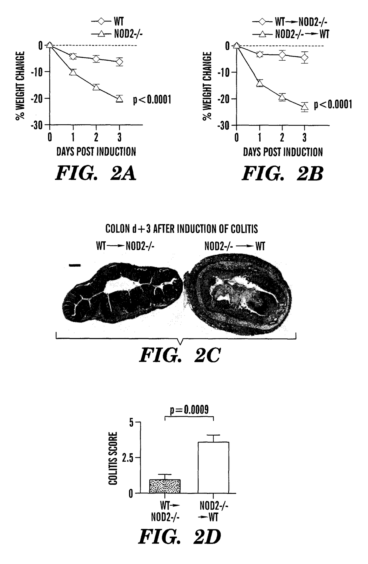 Dipeptides as inhibitors of human immunoproteasomes