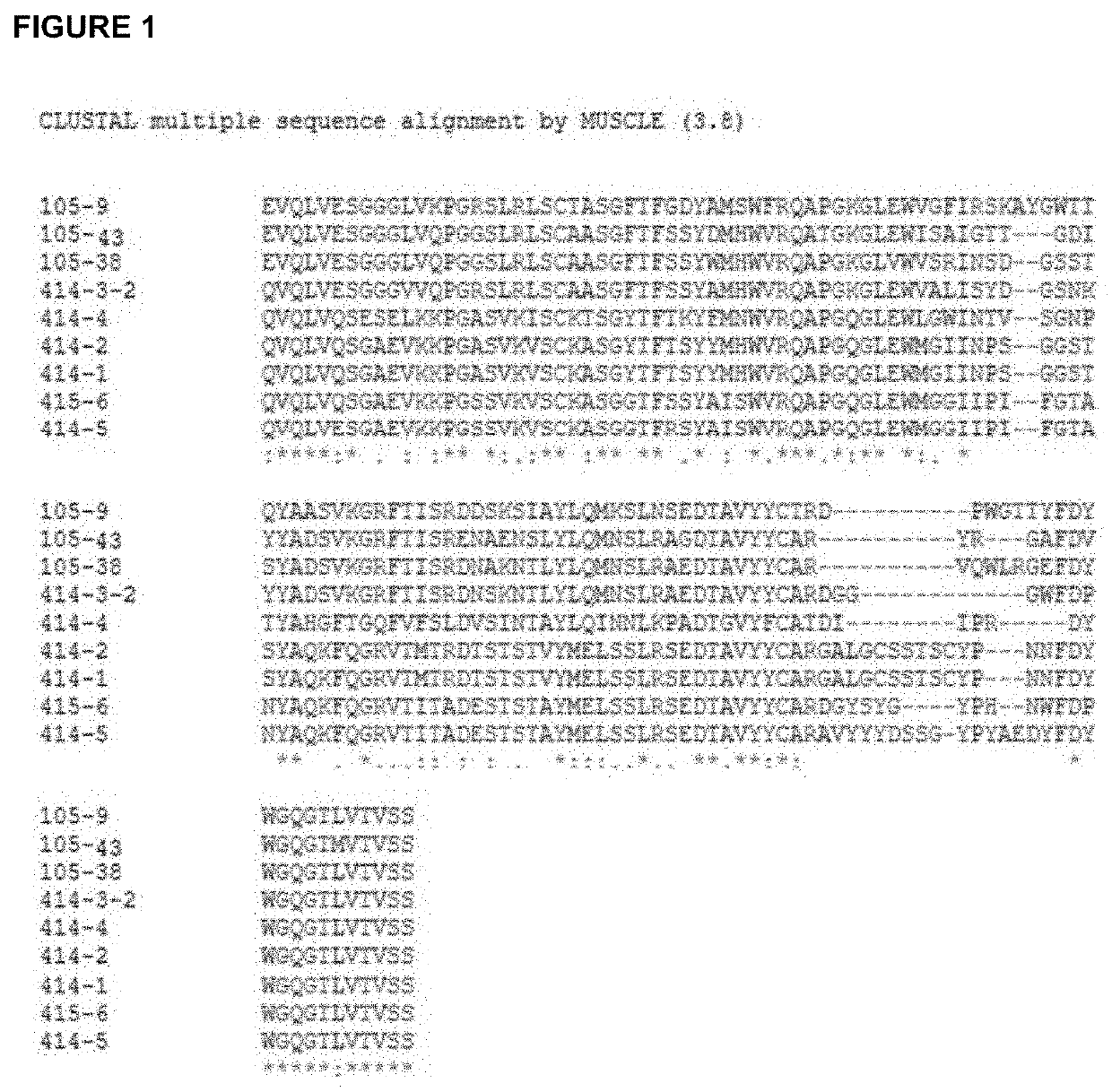 Antibodies to sars-coronavirus (covid-19) s1 spike protein