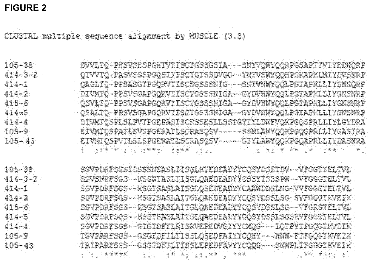 Antibodies to sars-coronavirus (covid-19) s1 spike protein