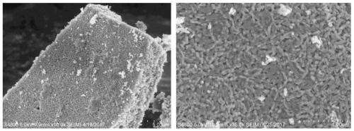 Preparation method of laminated porous nitride micro-sheet/S composite positive electrode material