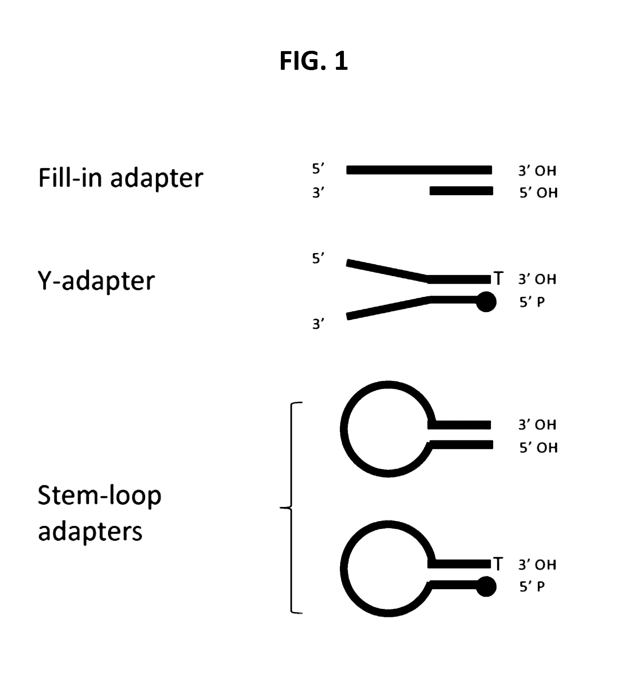 Methods for processing DNA substrates