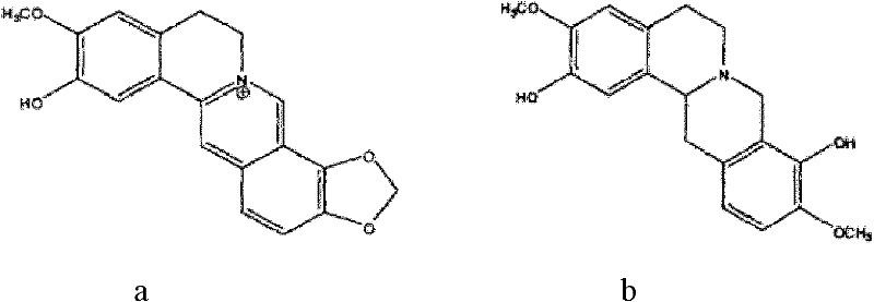 Application of dehydrocorydaline and scoulerine to medicament production