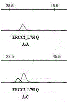 Primer for detecting ERCC2 gene polymorphism, and method thereof