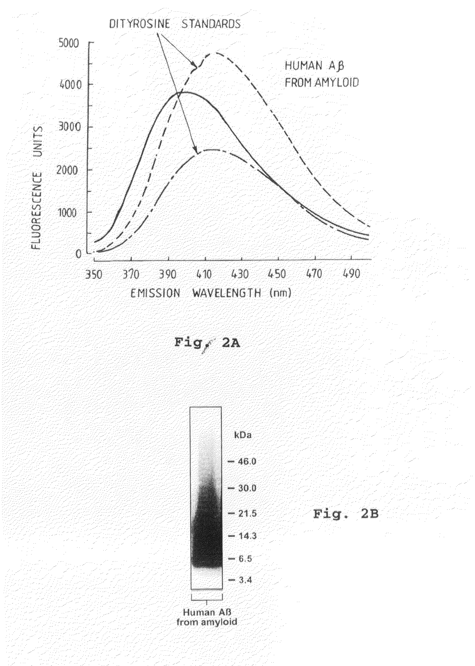 Neurotoxic oligomers