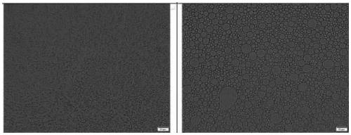 Cosmetic containing organosilicon elastic powder composition and preparation method thereof