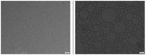 Cosmetic containing organosilicon elastic powder composition and preparation method thereof