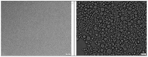 Cosmetic containing organosilicon elastic powder composition and preparation method thereof