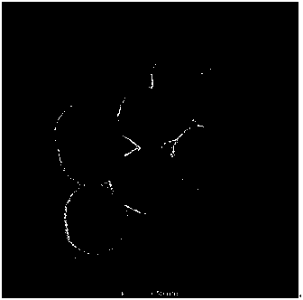 Preparation method of pH responsive mesoporous silica nano-drug carrier for three-in-one therapy