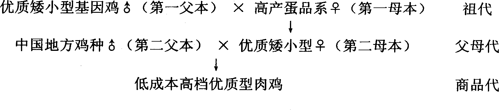 A high-quality chicken culturing method