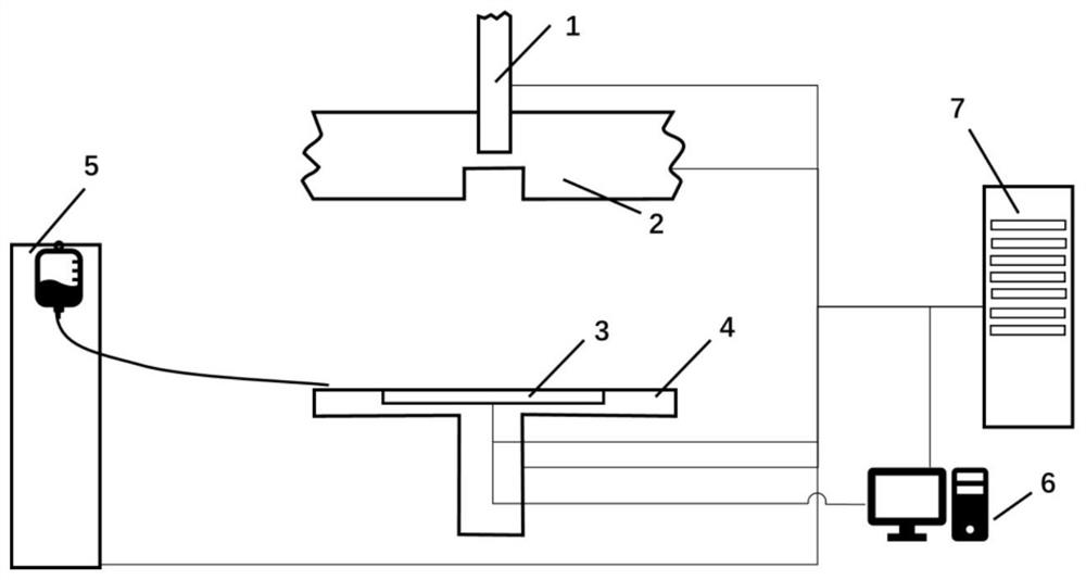 Neutron diagnosis and treatment device and neutron diagnosis and treatment method based on neutron field measurement inversion