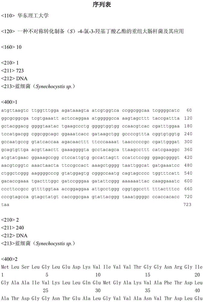 Recombinant escherichia coli for preparing (S)-4-chlorine-3-hydroxyl ethyl butyrate by adopting asymmetric transformation and application of recombinant escherichia coli