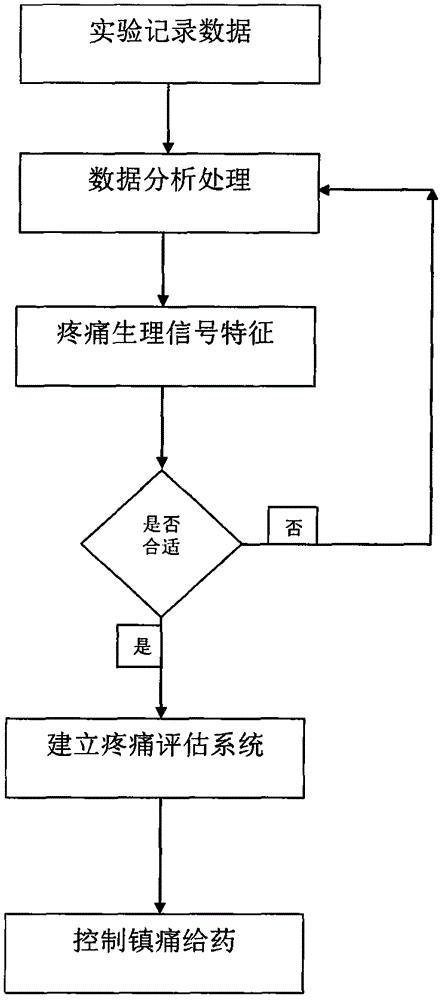 Method for establishing novel pain assessment system