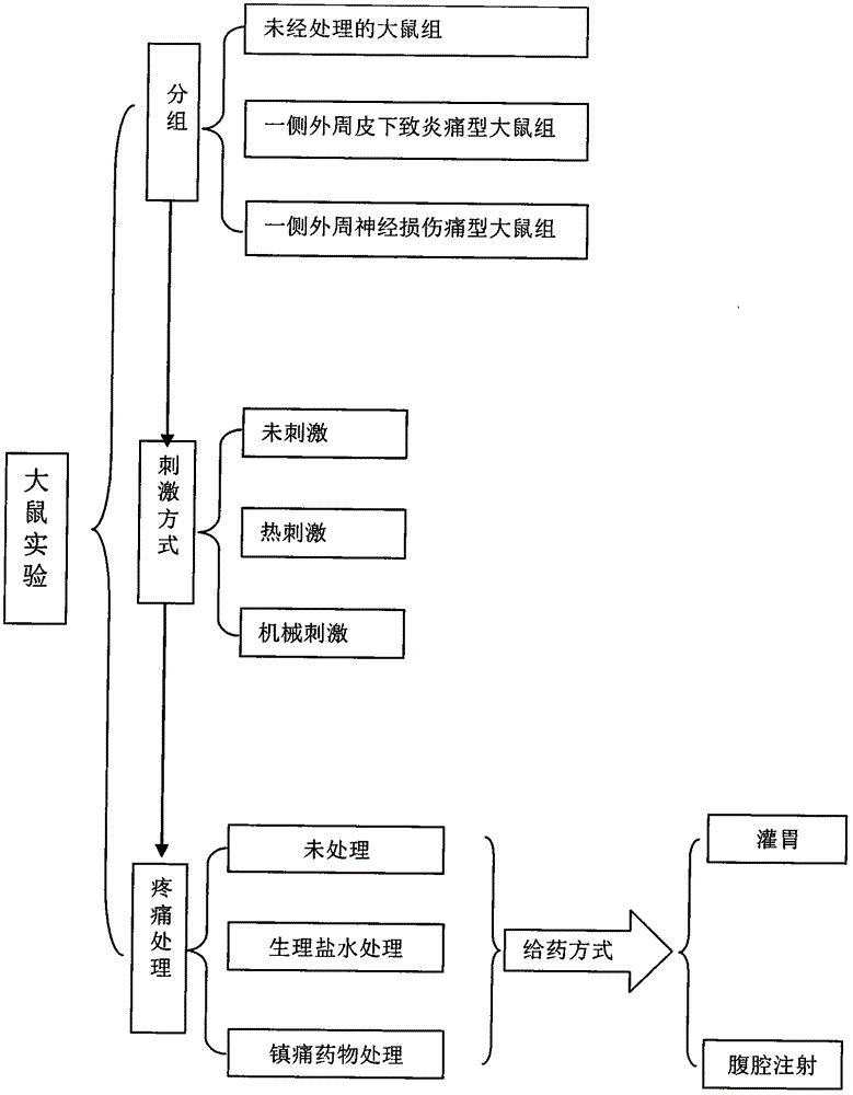 Method for establishing novel pain assessment system