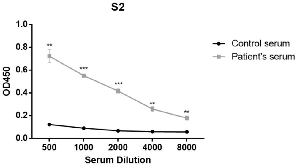 SARS-CoV-2 antigen polypeptides and application thereof