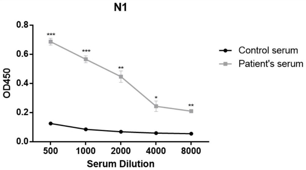 SARS-CoV-2 antigen polypeptides and application thereof