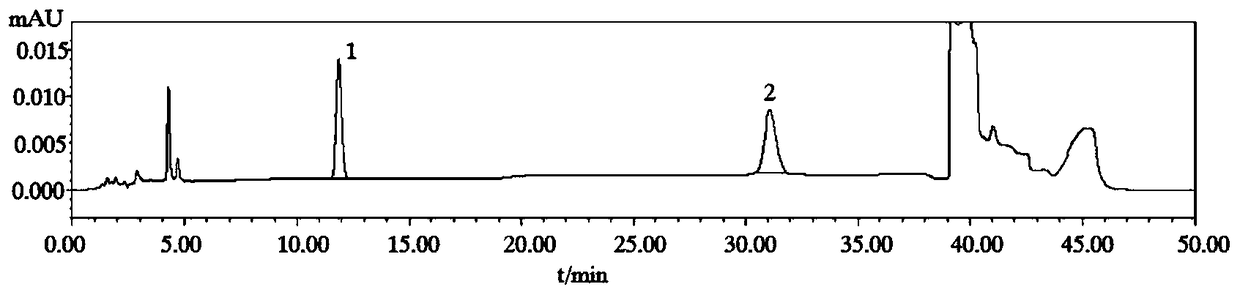 Detecting method of hyoscyamine and hyoscine