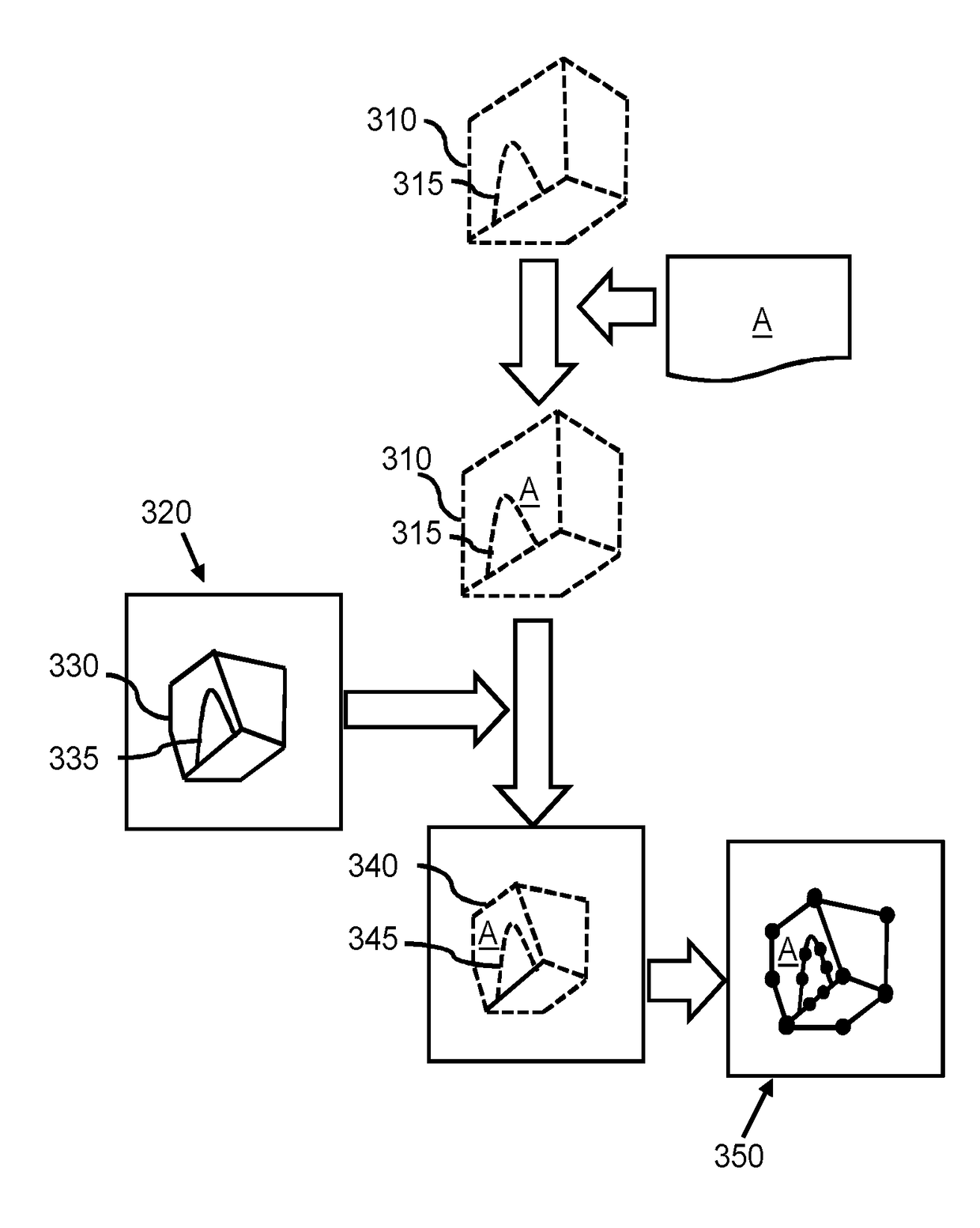 Finite element modeling of anatomical structure