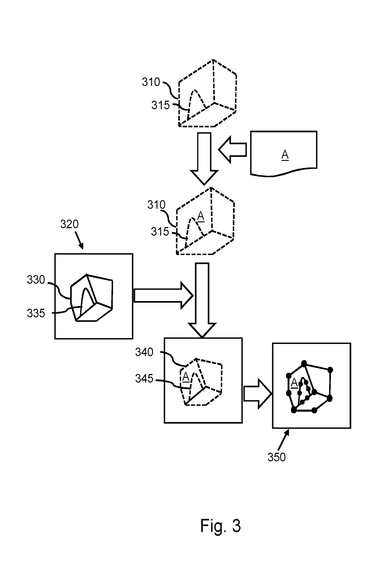 Finite element modeling of anatomical structure