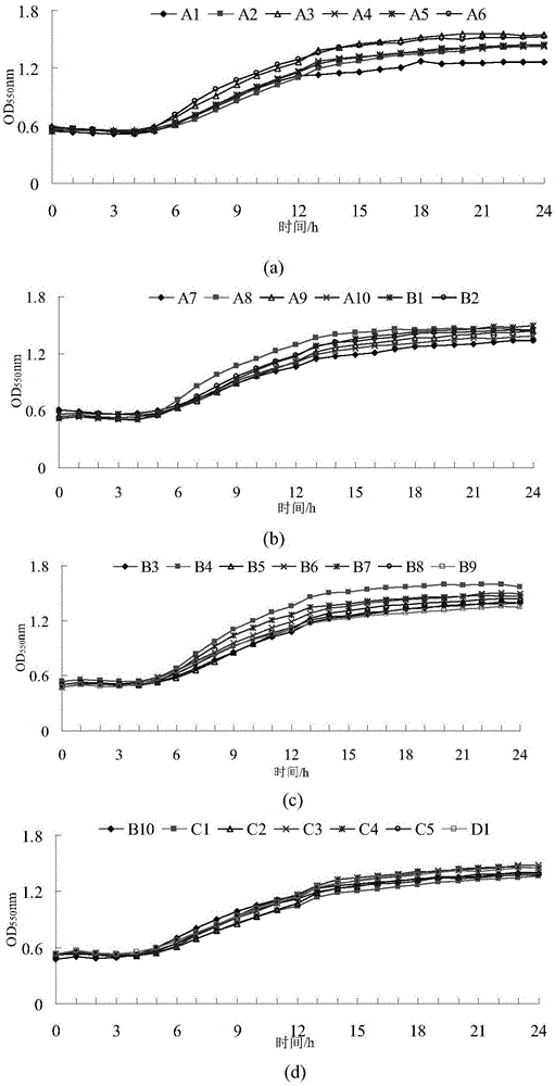 Preparation method of high-quality fermented camel milk with function of auxiliarily lowering blood sugar