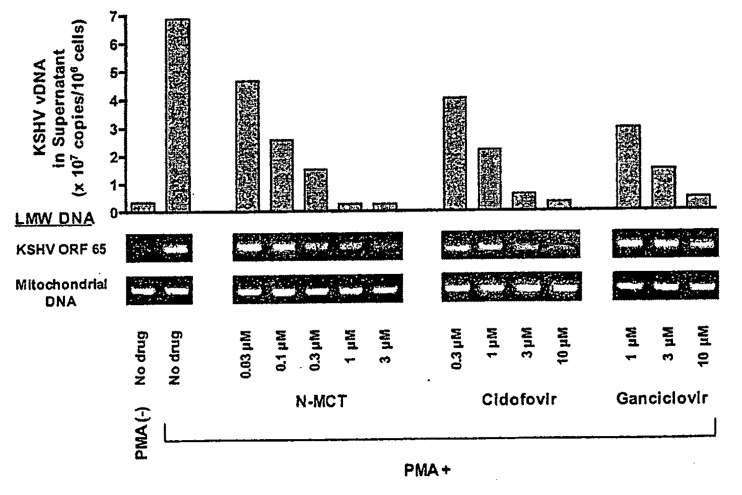 North-2'deoxy -methanocarbathymidines as antiviral agents for treatment of kaposi's sarcoma-associated herpes virus