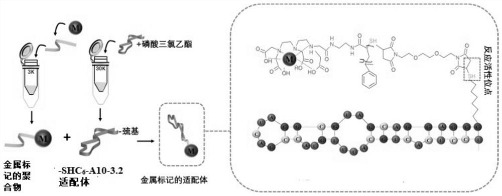 Nucleotide aptamer-based metal probe as well as preparation method and application thereof