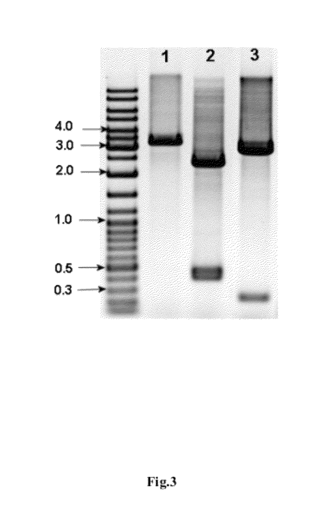 Method for producing interferon alpha 5