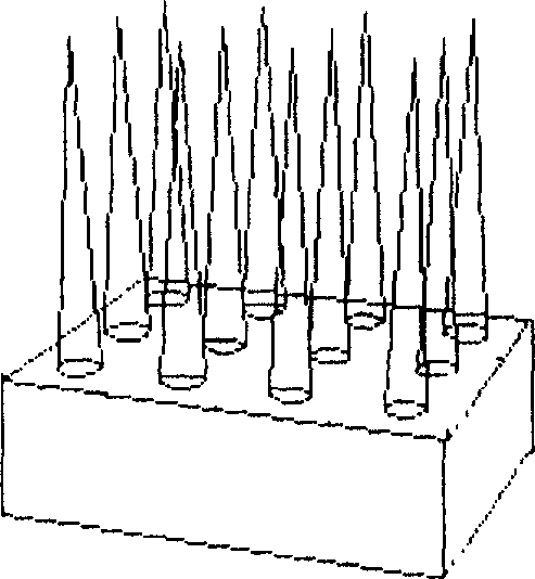 Metal micro needles array chip and preparation method, and usage