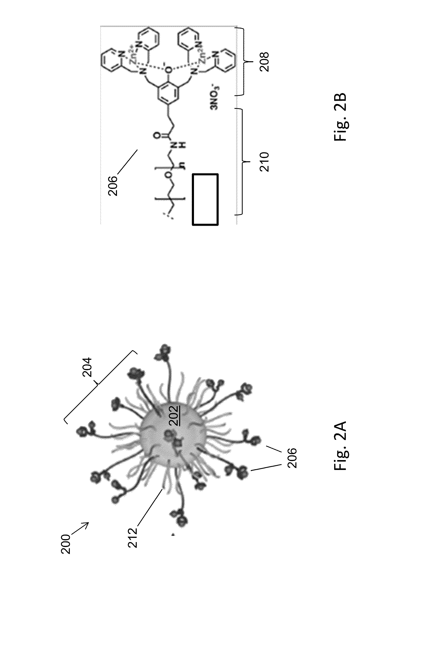 Magnetic separation using nanoparticles