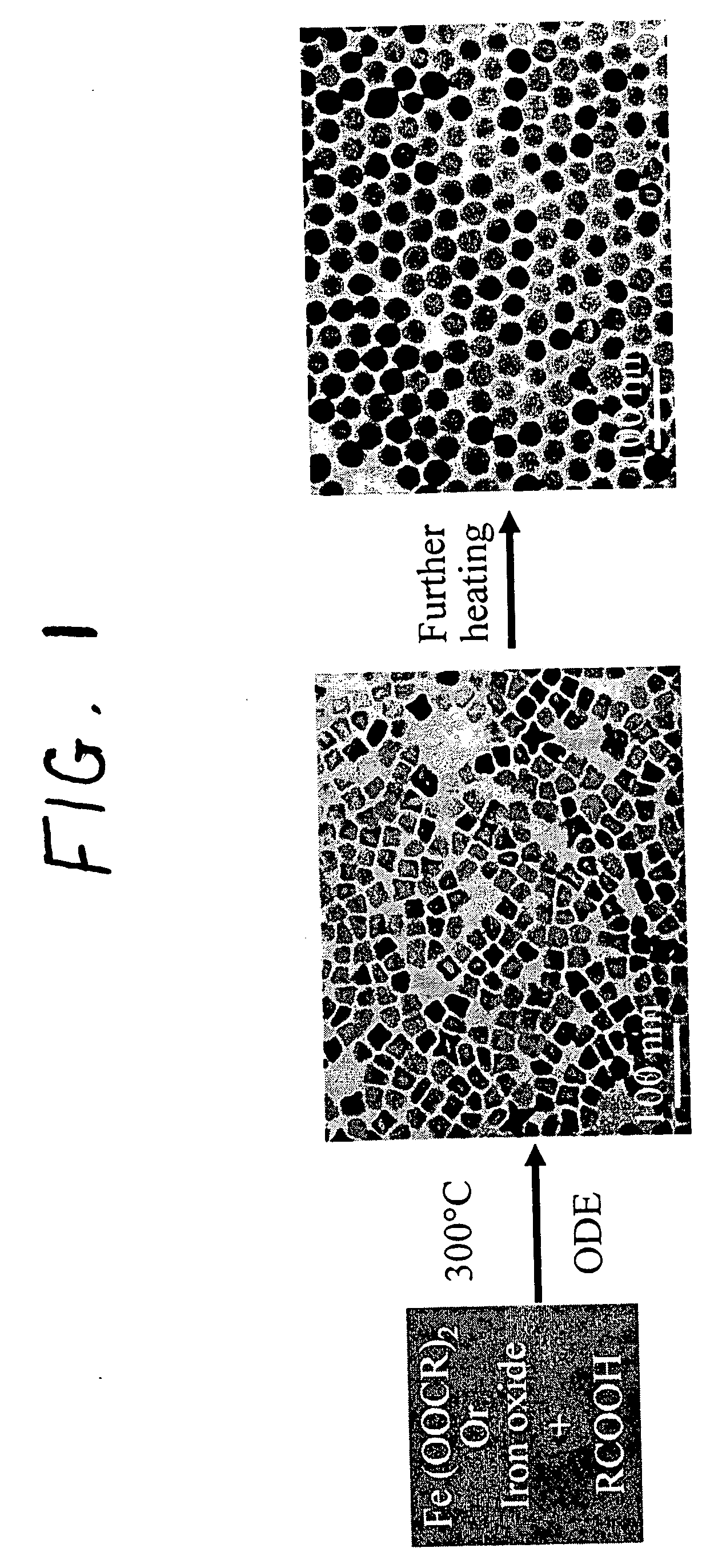 Synthetic control of metal oxide nanocrystal sizes and shapes