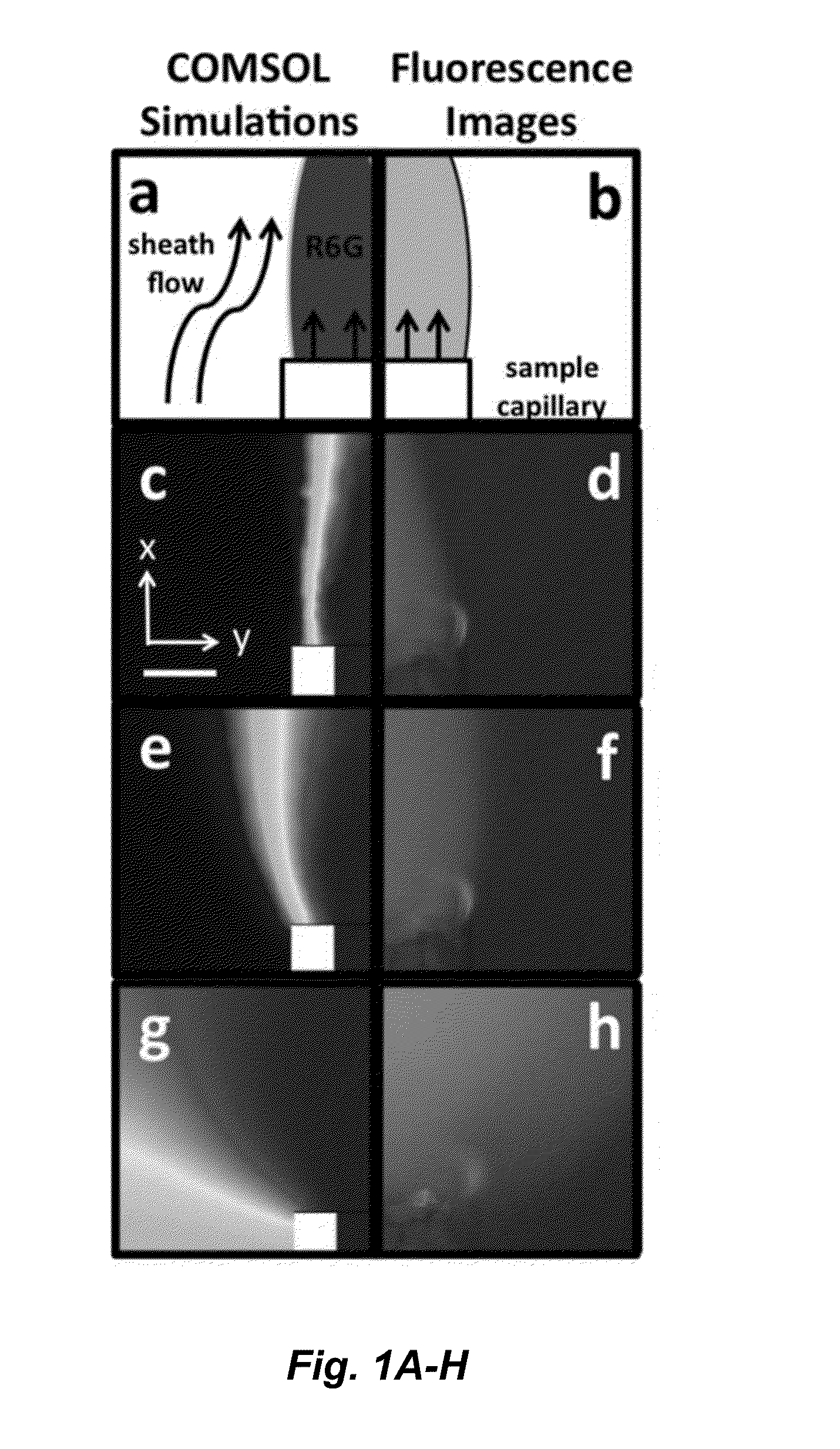 Ultrasensitive SERS flow detector