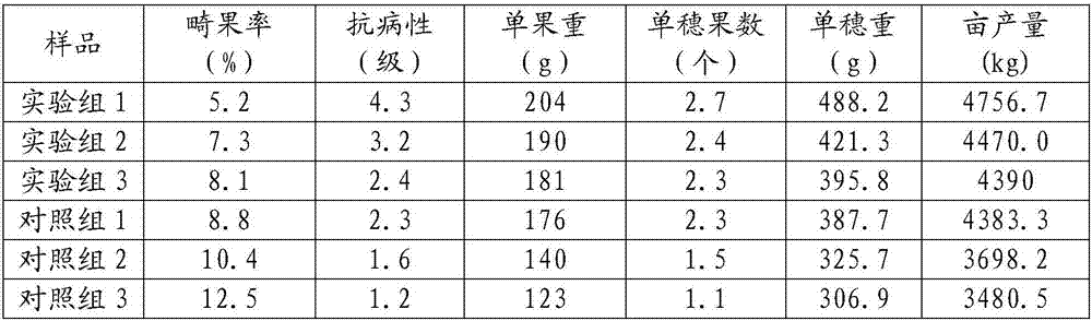 Biochar soil conditioner and preparation method thereof