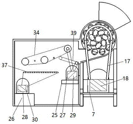 Chestnut thorn-bract peeling machine driven by double flywheels