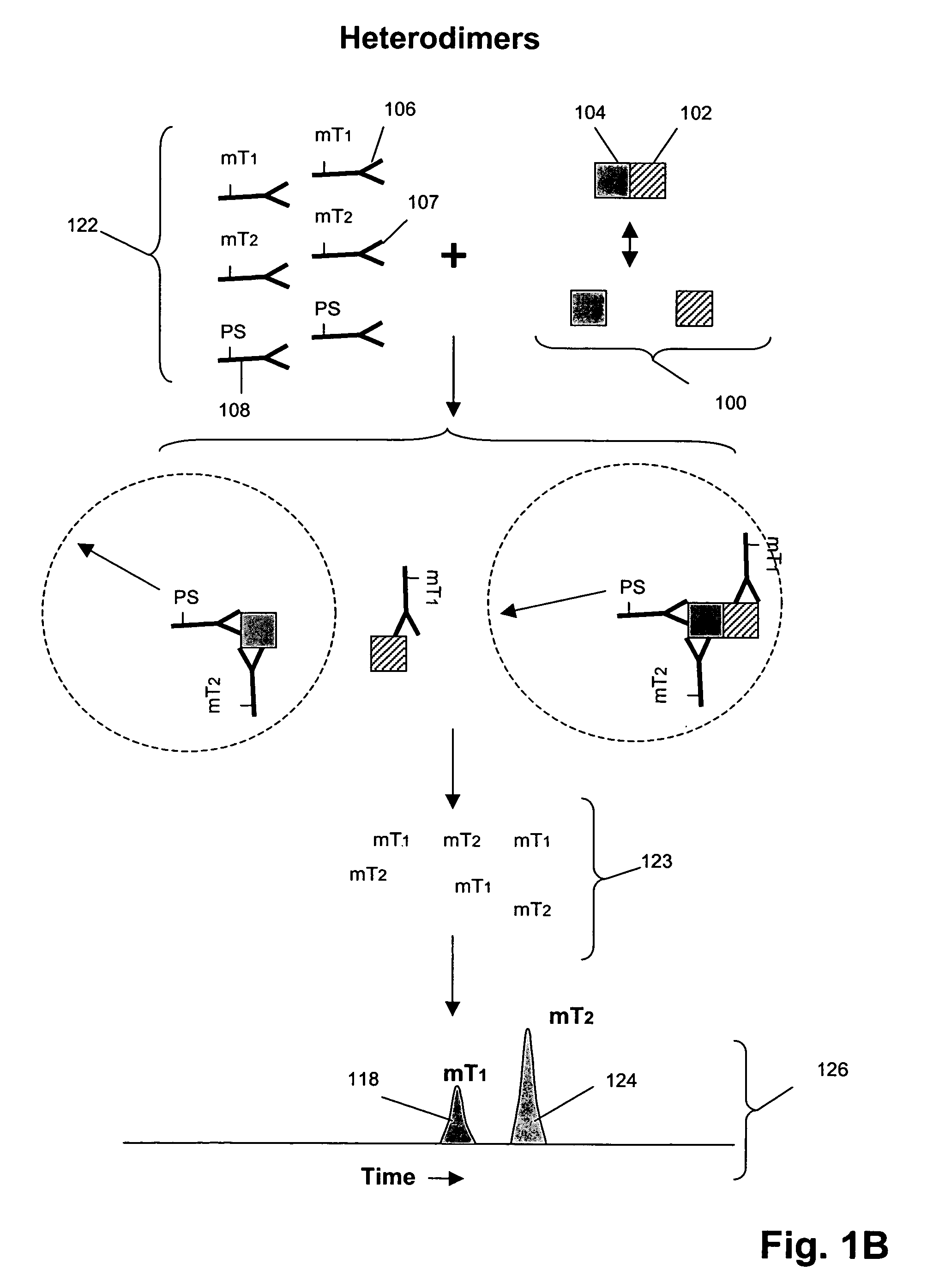 Detecting and profiling molecular complexes