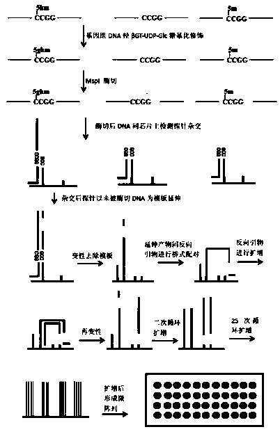 Bridge-PCR-based method for detecting DNA hydroxymethylation