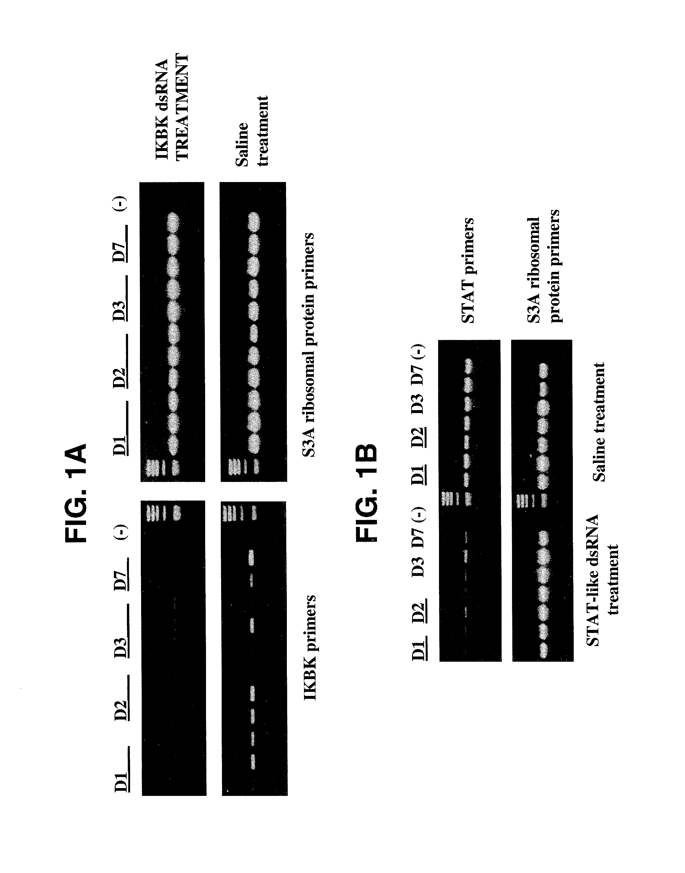 dsRNA induced specific and non-specific immunity in crustaceans and other invertebrates and biodelivery vehicles for use therein