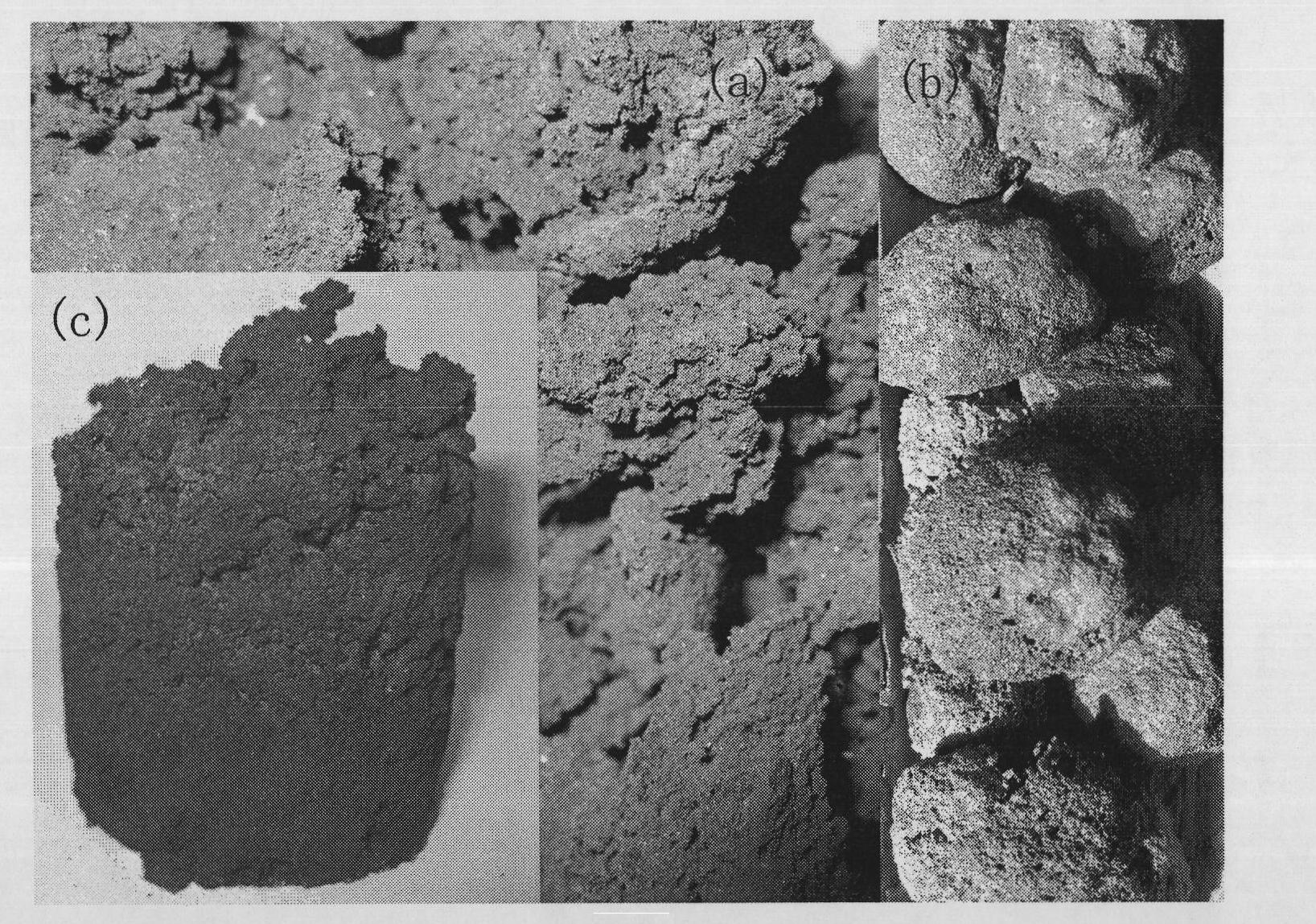 Inorganic porous ceramic material and preparation method thereof