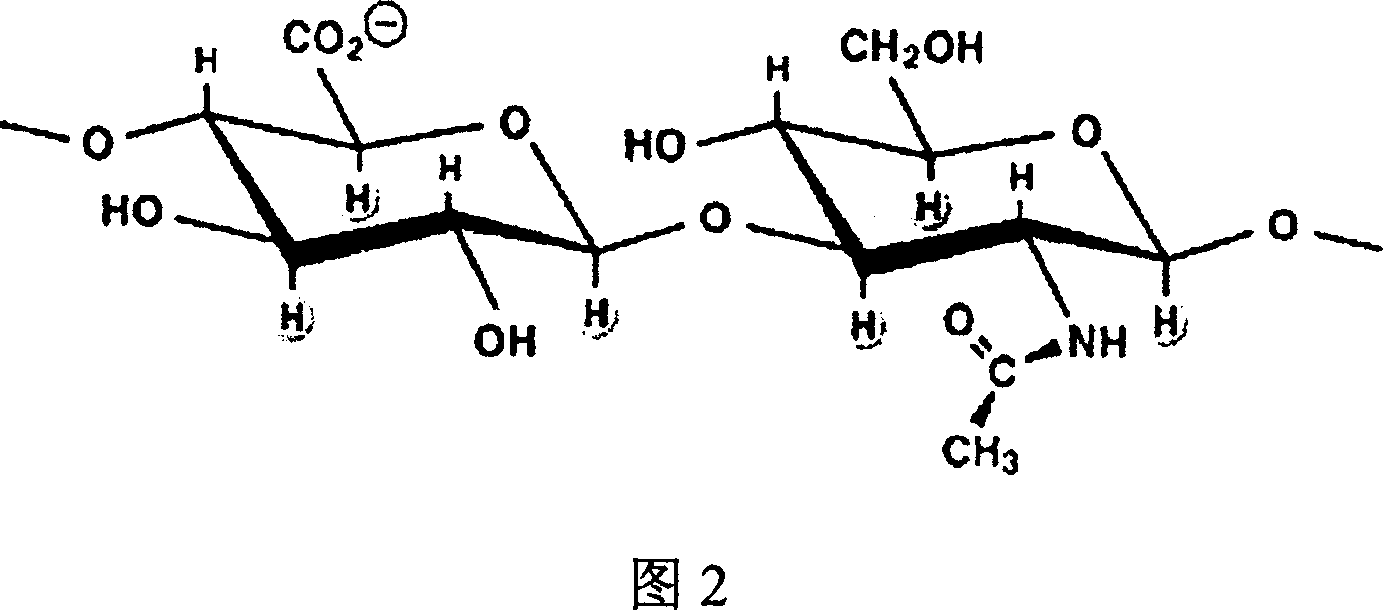 Transmission system for medicine containing trehalose and hyaluronic acid in use for curing burn and preparing method